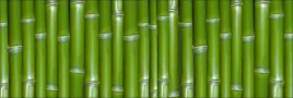 samoprzylepna-fototapeta-do-kuchni-zielony-bambus
