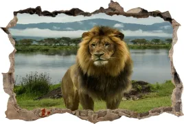 naklejka-na-sciane-fototapeta-3d-dziura-krol-lew-dziki-kot