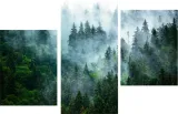 tryptyk-obraz-na-plotnie-las-i-mgla-natura-stan-nowy