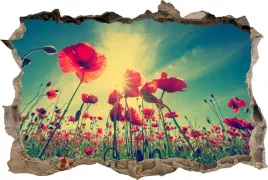 naklejka-na-sciane-fototapeta-3d-dziura-kwiaty-maki-slonce