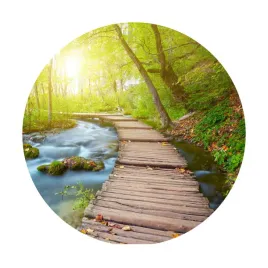 fototapeta-samoprzylepna-okragla-naklejka-scienna-las-pomost-strumyk