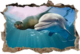 naklejka-na-sciane-fototapeta-3d-dziura-delfin-foka-ocean-natura
