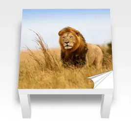 naklejka-na-stolik-ikea-lack-lew-natura-laminowana-55x55-cm
