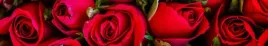 samoprzylepna-fototapeta-do-kuchni-czerwone-roze