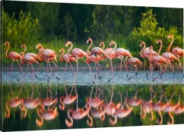 obraz-na-plotnie-flamingi-nad-woda-110x70-980-wz