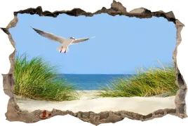 fototapeta-dziura-3d-naklejka-na-sciane-plaza-morze-mewa