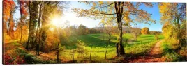 obraz-dekoracyjny-do-salonu-panorama-jesienny-krajobraz-sciezka-las-90x30