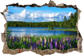 fototapeta-dziura-3d-naklejka-kwiaty-jezioro-natura-pejzaz-krajobraz