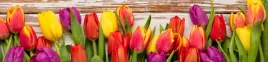 samoprzylepna-tapeta-do-kuchni-kolorowe-tulipany