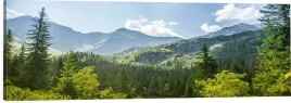 obraz-na-plotnie-panoramiczny-gory-wzgorza-zielen-120x40