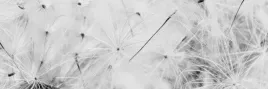 samoprzylepna-fototapeta-do-kuchni-natura