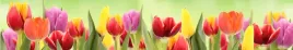 samoprzylepna-fototapeta-do-kuchni-tulipany-natura