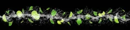 samoprzylepna-fototapeta-do-kuchni-limonka-mieta