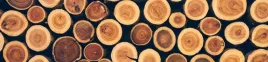 samoprzylepna-fototapeta-do-kuchni-drewno-pien