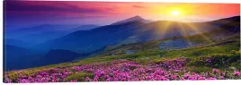 obraz-na-plotnie-panoramiczny-gory-kwiaty-zachod-polana-120x40