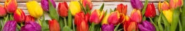 samoprzylepna-tapeta-do-kuchni-kolorowe-tulipany
