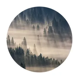 fototapeta-samoprzylepna-okragla-naklejka-scienna-las-slonce-mgla-mgle