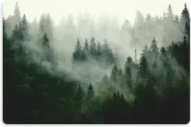 podkladka-ochronna-pod-miske-legowisko-dla-psa-kota-drzewa-las-49x33-cm