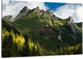 obraz-na-plotnie-120x80-unikatowe-zdjecia-do-salonu-tatry-giewon-gory