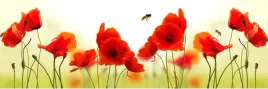 samoprzylepna-fototapeta-do-kuchni-maki-natura
