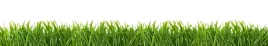 samoprzylepna-fototapeta-do-kuchni-zielona-trawa