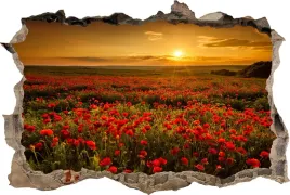 fototapeta-dziura-3d-naklejka-scienna-pole-maki-zachod-slonca