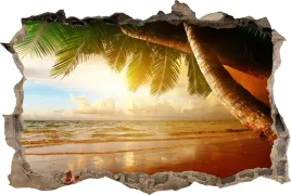 fototapeta-dziura-3d-naklejka-na-sciane-pod-palma-plaza-135x90
