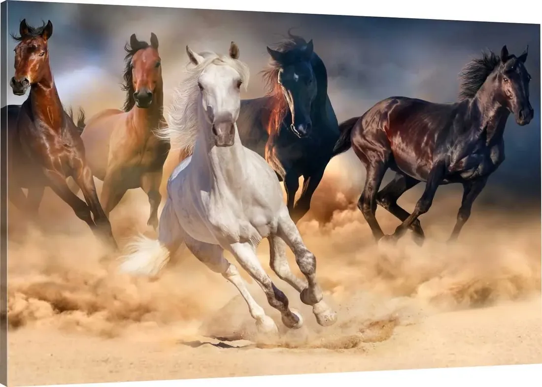 obraz-na-plotnie-konie-galop-stado-100x70