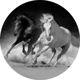 fototapeta-samoprzylepna-okragla-naklejka-scienna-konie-kon-sila-galop