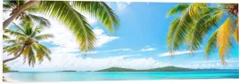 obraz-na-plotnie-do-salonu-panoramiczny-palmy-tropiki-ocean-wyspa-120x40