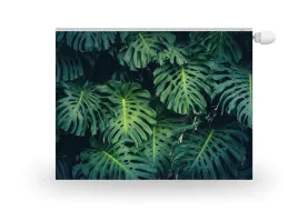 magnes-mata-na-kaloryfer-liscie-monstera-80x60