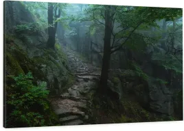 obraz-na-plotnie-120x80-unikatowe-zdjecia-do-salonu-zamek-chojnik-las-mrok