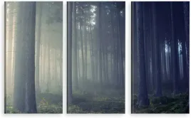 tryptyk-obraz-na-sciane-las-mgla-natura-980-wzorow