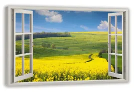 obraz-na-plotnie-okno-pole-wies-kwiaty-70x50
