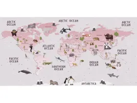 mata-ochronna-na-biurko-90x45-mapa-swiat-roz