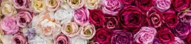 samoprzylepna-fototapeta-do-kuchni-roze-kwiaty