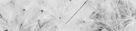 samoprzylepna-fototapeta-do-kuchni-natura
