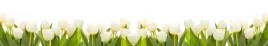 samoprzylepna-fototapeta-do-kuchni-biale-tulipany