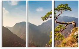 tryptyk-obraz-na-sciane-pieniny-sokolica-sosna