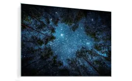 obraz-na-szkle-szklany-gwiezdziste-niebo-las-50x70