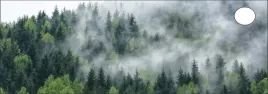 podkladka-na-biurko-ikea-micke-142x50-las-we-mgle