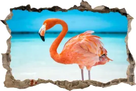 naklejki-na-sciane-fototapeta-3d-dziura-flaming