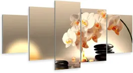 tryptyk-5-czesci-na-sciane-biala-orchidea-800-wz