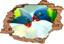 fototapeta-3d-samoprzylepna-naklejka-dziura-w-scianie-papugi-kolor