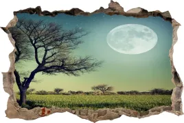 fototapeta-dziura-3d-naklejka-na-sciane-ksiezyc
