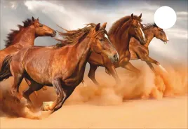 mata-ochronna-na-biurko-micke-73x50-konie-galop