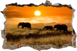 fototapeta-dziura-3d-naklejka-na-sciane-slonie