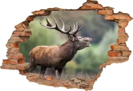 fototapeta-3d-samoprzylepna-naklejka-3d-los-399
