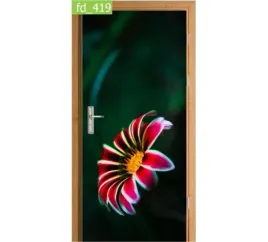 fototapeta-naklejka-na-drzwi-natura-kwiat-czerwony