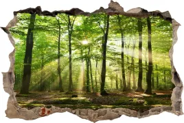 naklejki-na-sciane-fototapeta-3d-dziura-las